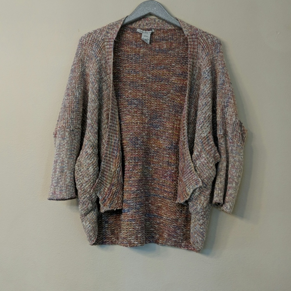 American Rag Rainbow cardigan